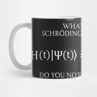 the Schrödinger Equation Mug